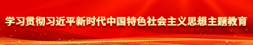 欧美肥妇操b视屏学习贯彻习近平新时代中国特色社会主义思想主题教育